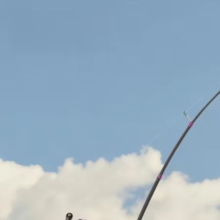 คันเบ็ดตกปลา BFS Dedicated L A - Fishing Rod Carbon Fiber บทวิจารณ์และราคา